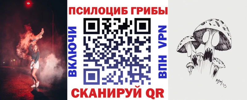mega рабочий сайт  сколько стоит  Кызыл  Галлюциногенные грибы MAGIC MUSHROOMS 
