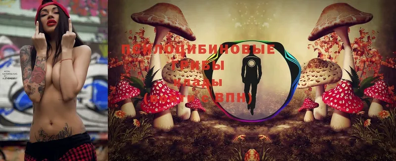 MEGA как войти  дарк нет телеграм  Кызыл  Галлюциногенные грибы MAGIC MUSHROOMS  где найти  