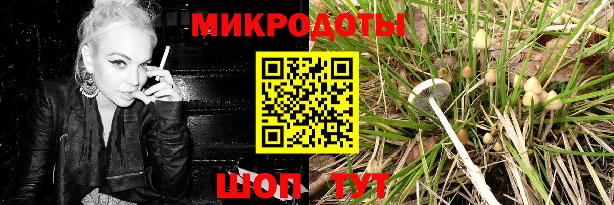 Псилоцибиновые грибы Psilocybe  Вход с VPN  Кызыл 