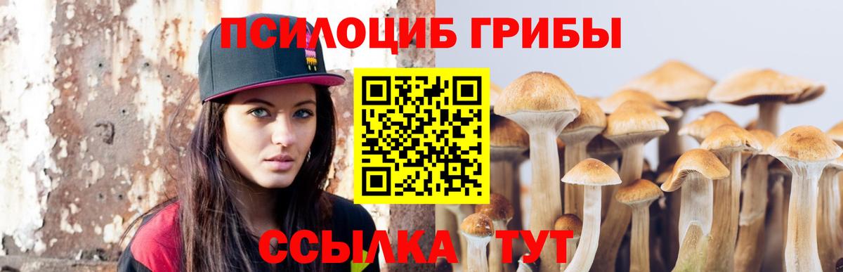 Псилоцибиновые грибы MAGIC MUSHROOMS Кызыл